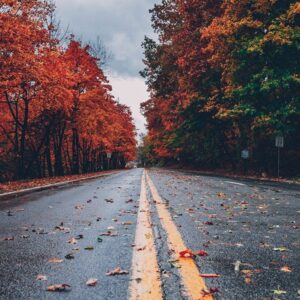 Work With Me product2 free img